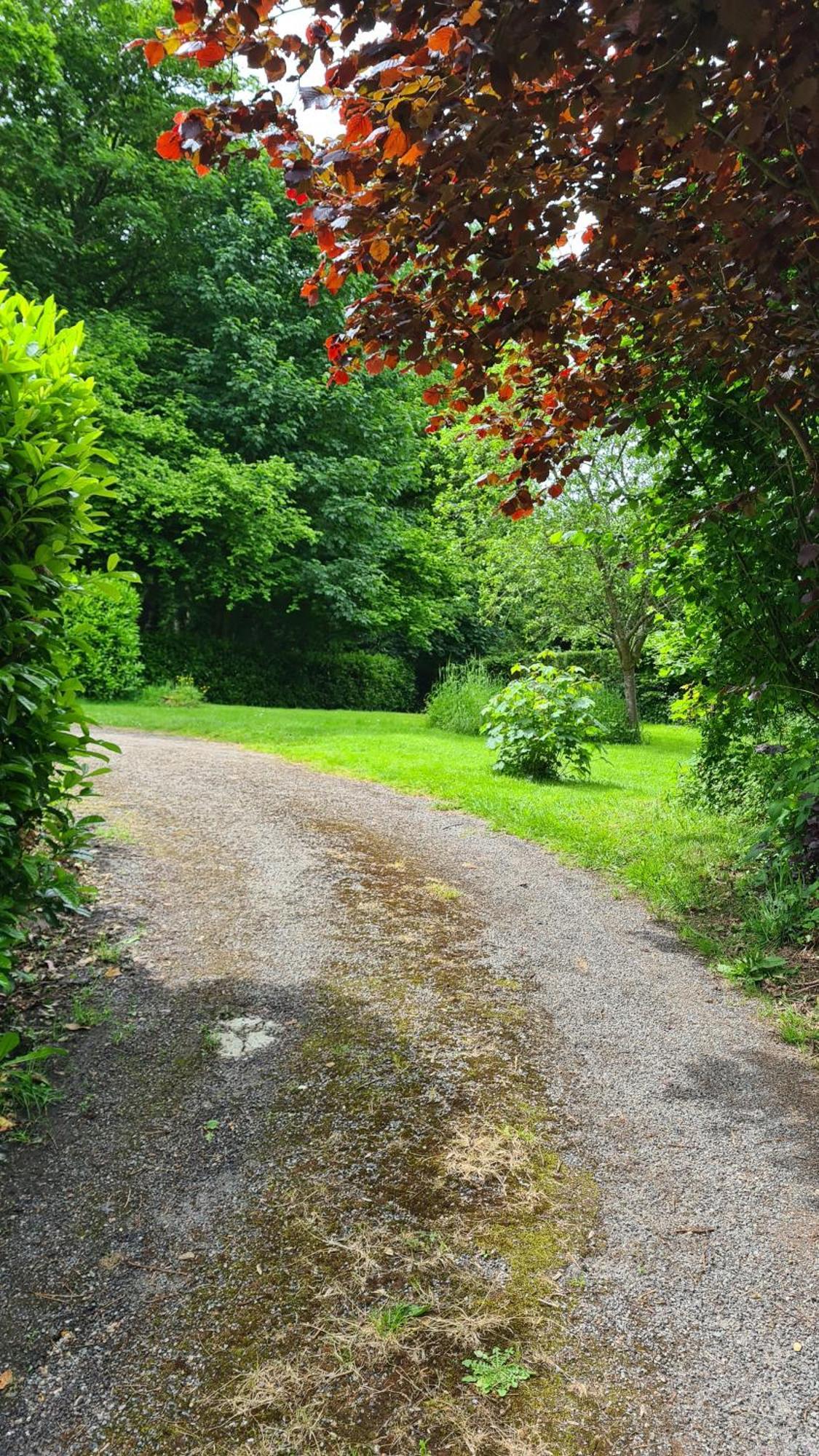 La Taniere Villa Gueures Kültér fotó